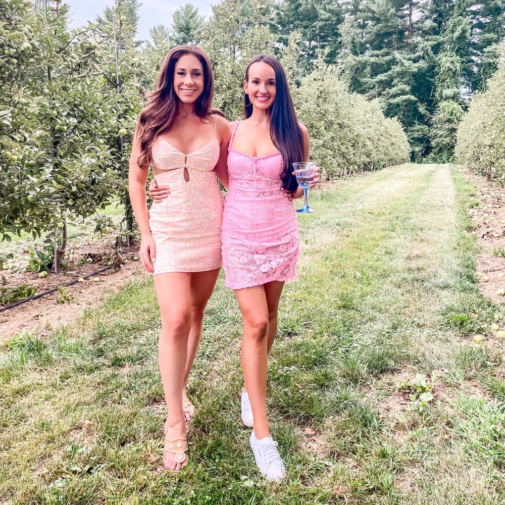 Zara Pink Lace Mini Dress